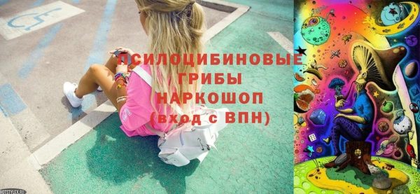 амф Аркадак