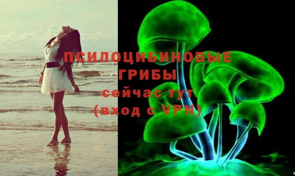 амф Аркадак