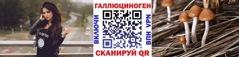 закладки  Минусинск  blacksprut онион  Галлюциногенные грибы мухоморы 